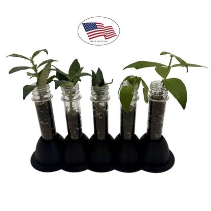 ThaiGer's Plant Propagation Station - For Hydroponic Rooting Cuttings in Water
