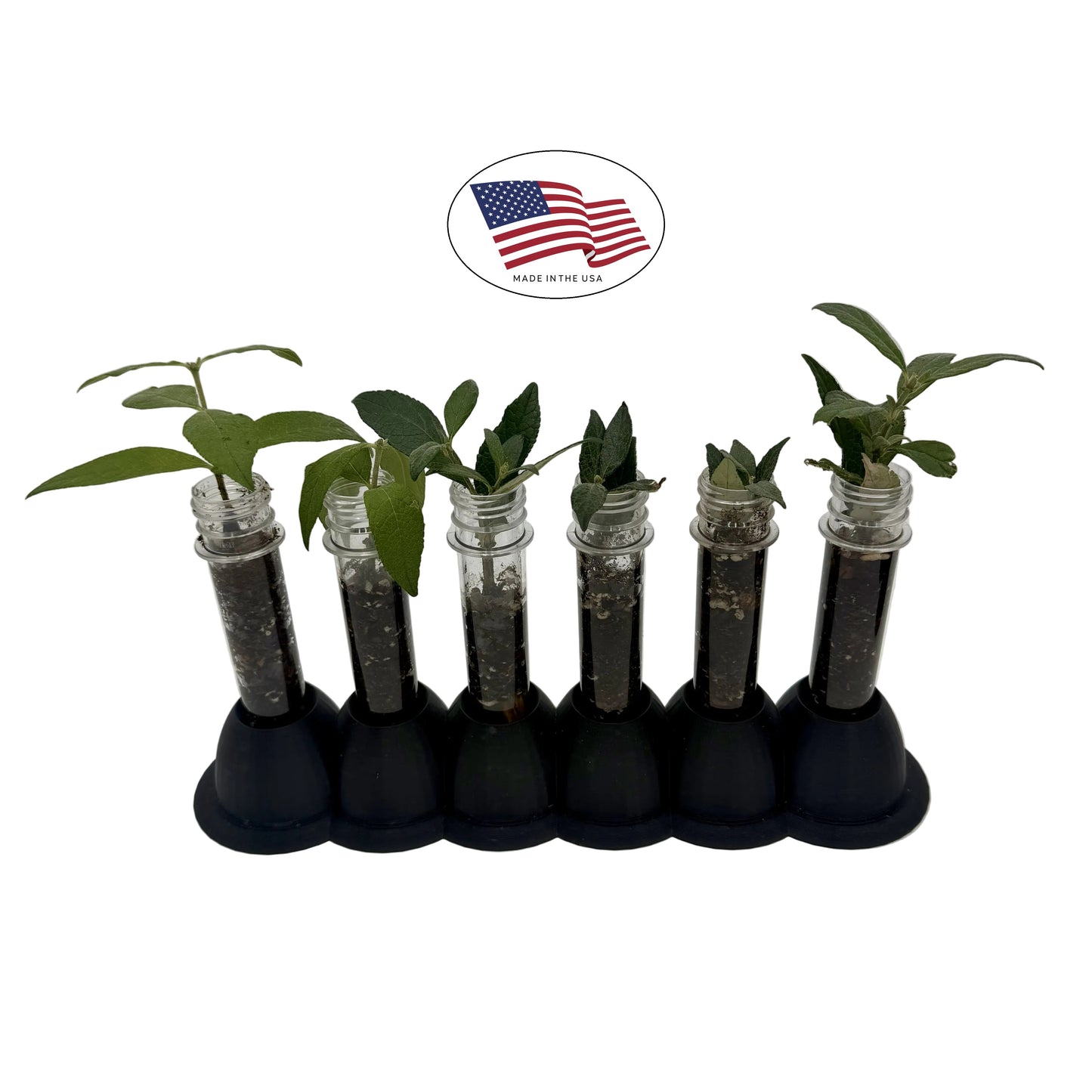 ThaiGer's Plant Propagation Station - For Hydroponic Rooting Cuttings in Water